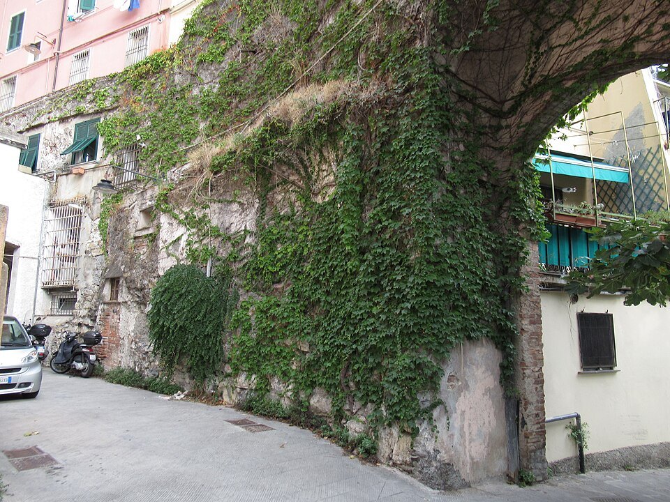 An arch of the Barbarossa wall, ivy over its stone and cars parked beneath
